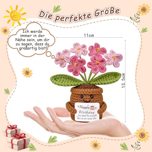 Mwmoeen Gestrickte Blumen Geburtstagsgeschenk für Frauen, Handgemachte Vergissmeinnicht Rosa Geburtstags Blumen, Pocket Hug Positive Geschenk für Freundin Frau Mama