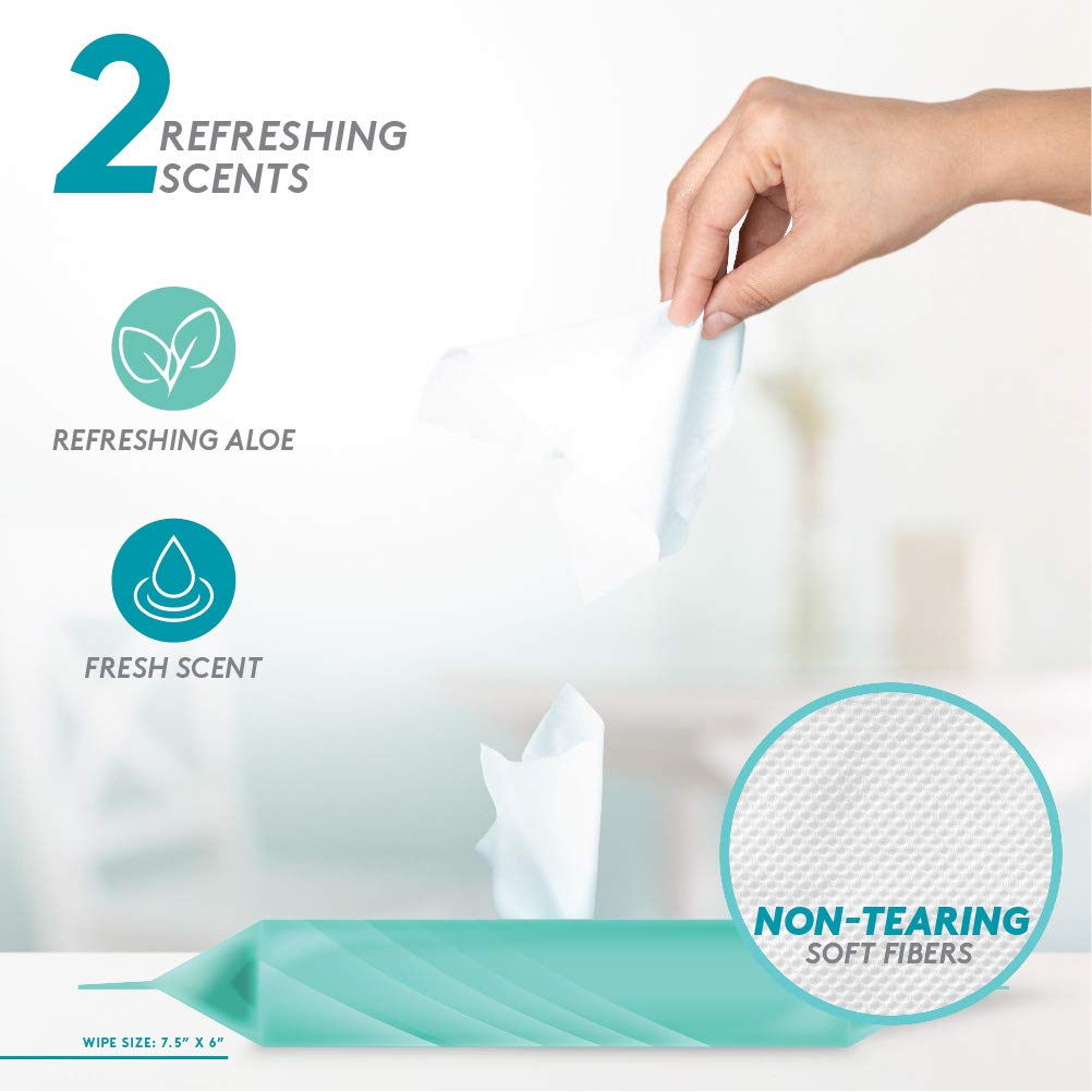 Buy Brookstone 12 Packs 20 Count Sanitizing Hand Wipes for a