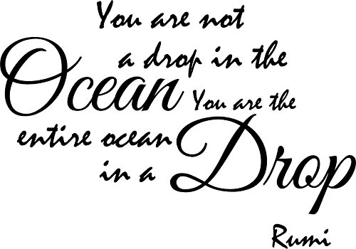 Newclew You are not a Drop in The Ocean, You are The Entire Ocean in a Drop. - Rumi Vinyl Wall Art Poetry Quotes and Saying Home Decor Decal Sticker ((M) 22''x15'')