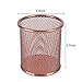 PAG Pencil Holder for Desk, 2 Pack Desktop Pen Cup, Office Supplies Rose Gold Desk Organizers and Accessories Organization, Makeup Brush Holder, Copper