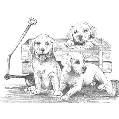Royal Brush Sketching Made Easy Large Kit 16 x 12.75-inch, Puppies and Wagon, Transparent