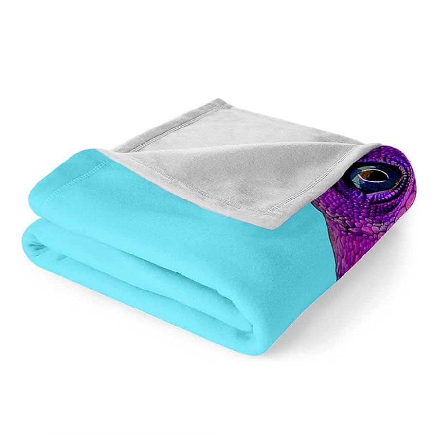  Dream First 電気毛布 紫色　フルセット Royal Dream First 電気毛布 紫色 フルセット