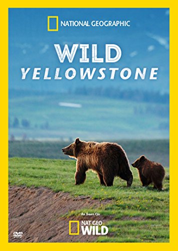 Wild Yellowstone con tablero interactivo modular y figuras de madera 2