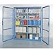 Denios K32-3527 Caged Containment Double Shelving, 8 Shelves, 250 lbs Capacity, 74" Length x 87" Height x 24" Depth