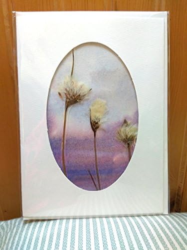 Handmade greetings card from the West of Ireland. Watercolour and wild flowers. Bog Cotton, 2nd wedding anniversary card 5" x 7"