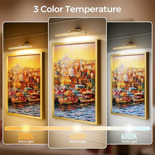 Image of Afyuol Picture Lights for Wall, Brushed Gold Battery Operated Picture Light 24in Art Light CCT Dimmable Recharging Battery Wall Light with Remote Control for Living Room Gallery