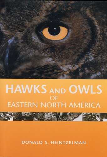 Hawks and Owls of Eastern North America