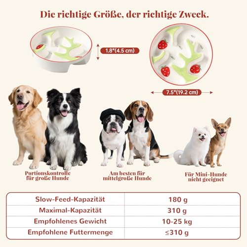 Antischlingnapf für Hunde aus Keramik - Labyrinth-Futternapf für langsames Fressen - Futternapf für mittelgroße und große Hunde - 310 g - Blütenmuster