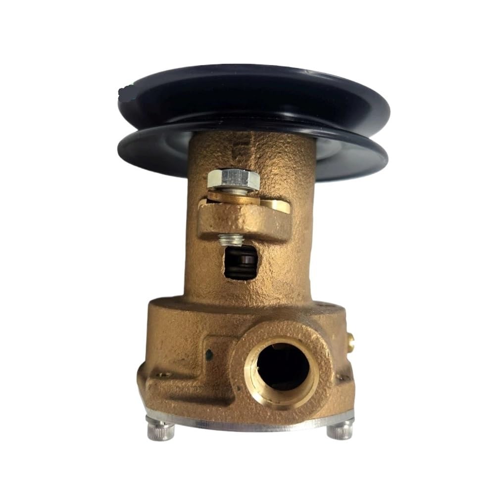 2673732 Pompa acqua grezza con puleggia 344371 344089 Adatta for generatore G906P G907P 4-6 KW Diesel 12,5 KW Gas JPR-KL101P2
