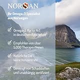 NORSAN Premium Omega-3 Arktis Dorschöl hochdosiert 2x 200 ml - 2.000 mg Omega-3 pro Portion mit Zitronengeschmack - Fischöl mit EPA & DHA - Premium Öl 800 IE Vitamin D3