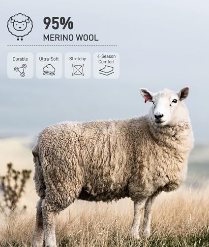 Merino Wool Boxer Briefs for Women 2 pack,Breathable Womens Boyshorts Underwear,Dry Panties for Ladie3