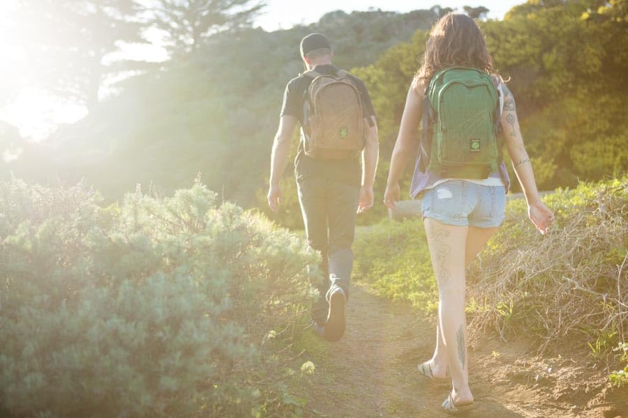 Dime Bags Backpack For Travel & School, Durable Hempster Material, 9 Storage Compartments & 2 Side Bottle Pockets, Fits 17” Laptop, Adjustable Padded Straps, Hidden Internal Pocket (Forest) - Image 6