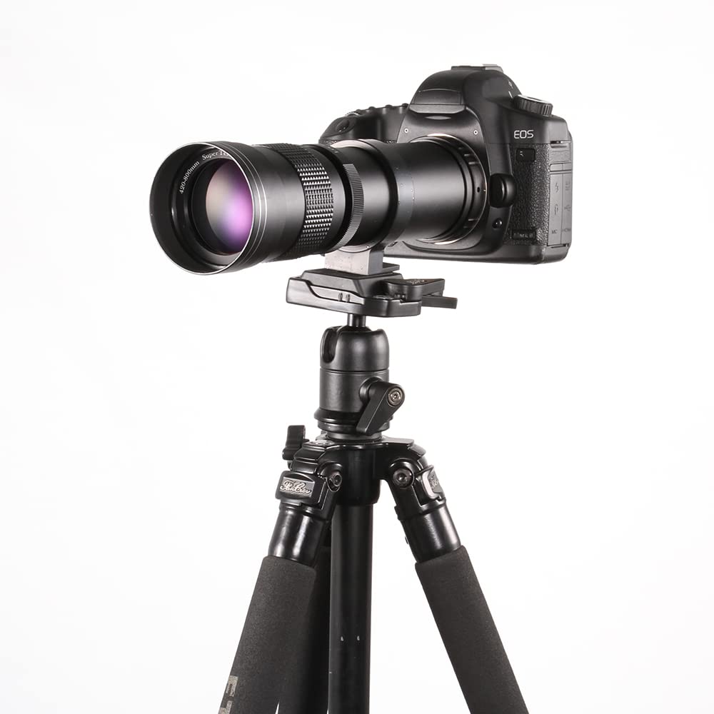 Telefotocamera Canon EOS 420-800mm F/8.3-16 - Dettaglio