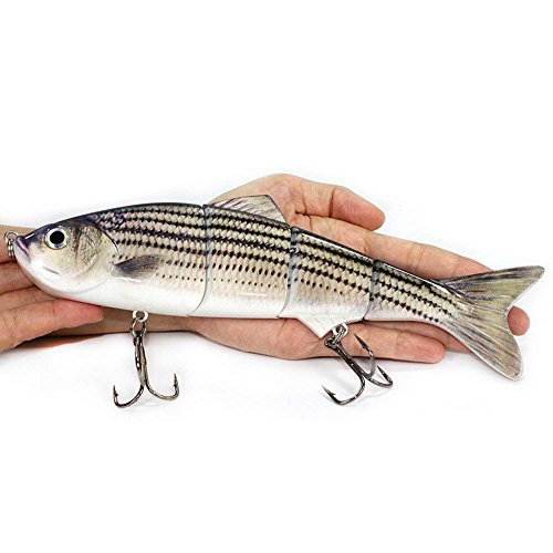 Top 10 Best big bass baits 2022 Reviews & Buying Guide licorize