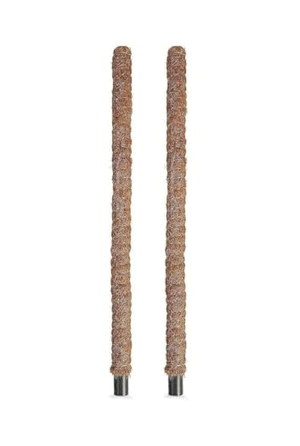 Ritaj Moss Stick for Plant Support Extension, Climbing Indoor Plants | 100 cm | 2 Pack