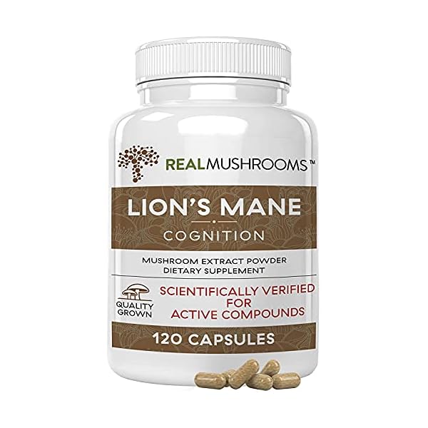 Lions Mane Mushroom Cognition Capsules (120 Capsules) Lions Mane Mushroom Powder Extract Capsules | Brain Supplement, Brain Vitamins, Focus Supplement