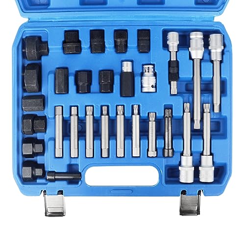 DAYUAN 30 Tlg. Lichtmaschine Wechsel Satz Werkzeug Set Freilauf Riemenscheibe Arretierer