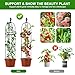Garden Obelisk Trellis for Climbing Plants Outdoor,2Pack Flower Trellis for Potted Plants, Rustproof Coated Metal Pipe Clematis Trellis for Rose Vine Vegetable Flower Support Indoor Outdoor