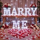 Roowest 8.66' Marry Me LED Letters & Rose Petals Proposal Decor Set, White