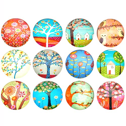 NHW 12 Pieces Fridge Magnet Set Office Cabinet Whiteboard Photo Calendar Decoration Refrigerator Home Decoration Magnet