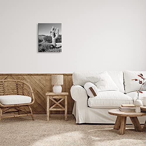 Image of Stupell Industries Thick Desert Cactus Black White Photography Canyon Landscape