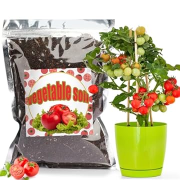 Top 5 Indoor Plant Soils That Will Transform Your Tomato Garden 3 best indoor plant soil for tomatoes
