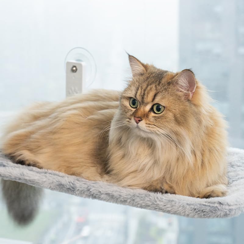 review Foldable Cat Window Perch,Cordless Cat Hammock Window Seat with Cozy Pad Bed Cover for Indoor Cats, Durable Metal Frame Support Cat Bed with 4 Suction Cups (Grey)