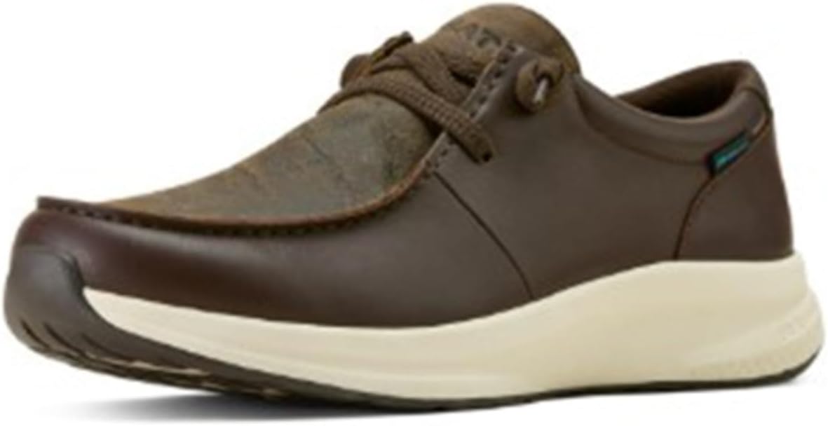 Ariat Men's Buckeye Waterproof Shoe
