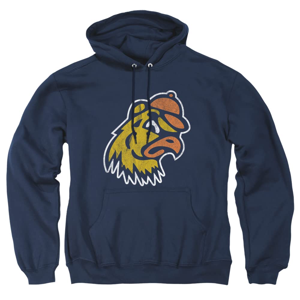LOGOVISION Official Collegiate Distressed Primary Logo Adult Pullover Hoodie Collection — view 254