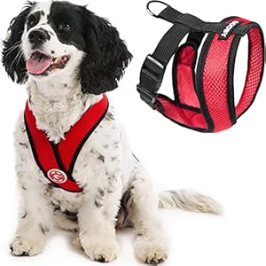 Gooby Comfort X Head in Harness – Red, Medium – No Pull Small Dog Harness Patented Choke-Free X Frame – On The Go Dog Harness for Medium Dogs No Pull or Small Dogs for Indoor and Outdoor Use