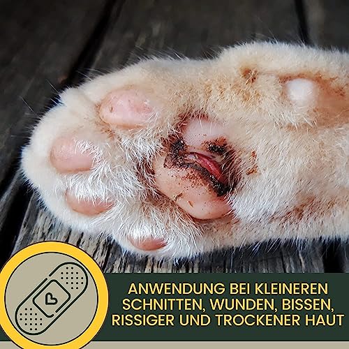 EMMA Zinksalbe Pferd I Wund Salbe bei Wunder Haut mit Zinkoxid I Wund Und Heilsalbe für Hund Katze Pferde 2x250ml Wundsalbe | Wundheil Zink Creme zur Unterstützung der Heilung von Wunden Juckreiz