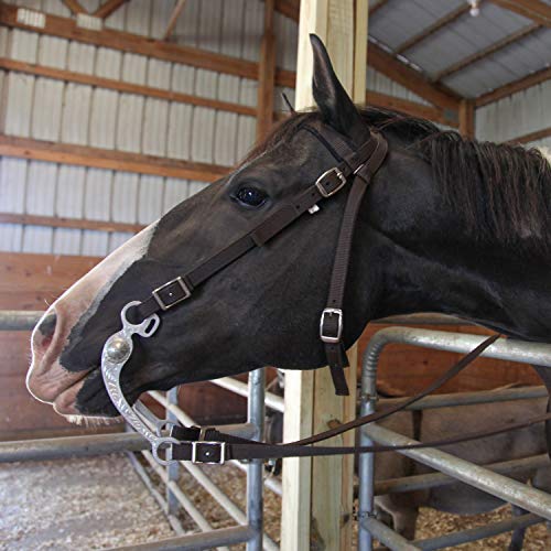 Majestic Ally Nylon Padded Browband Headstall With Reins For Horses (Chocolate, Full) #TOP2