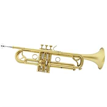 黒色 B♭トランペット 本体　未使用品 51fn5Nj9lNL._UF350,350_QL80_.jpg