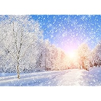 CORFOTO 7x5ft Winter Landscape Backdrop Snow-Covered Pine Forest Scenery Photography Background Winter Snow House Backdrop Christmas Winter Wonderland Backdrop Photo Booth Prop