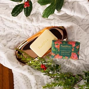 PAINTPETALS Cranberry Rose Scented Bar Soap Cleanses with A Creamy Lather Moisturizes With Shea Butter Artfully Wrapped A Chic Addition to Any Kitchen or Bathroom 7 Oz