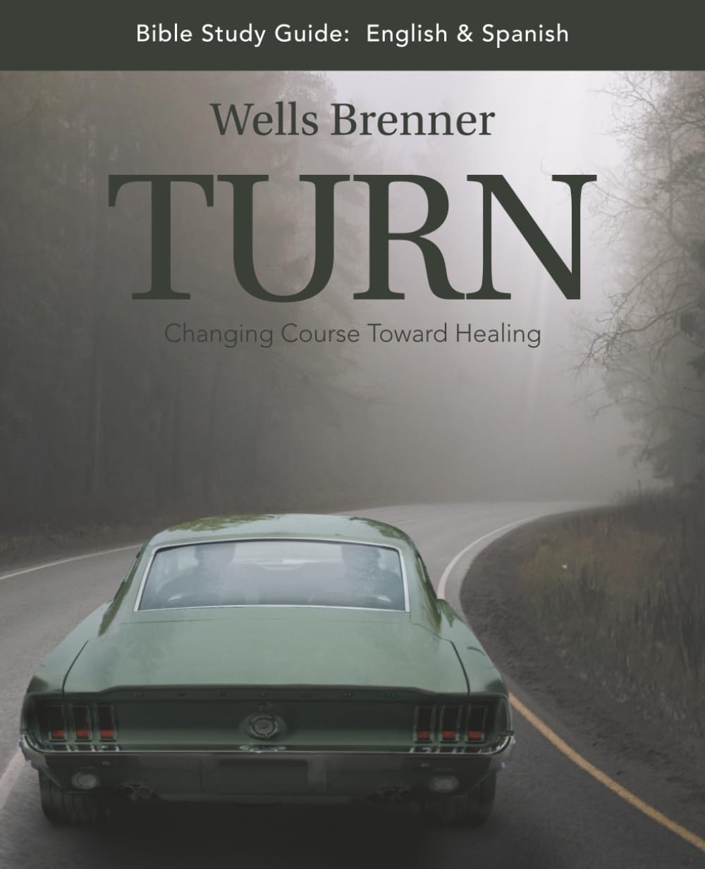 TURN Bible Study Guide: A Companion to Changing Course Toward Healing