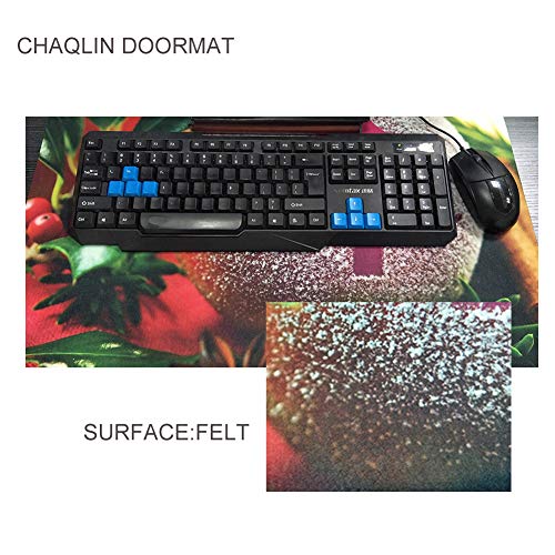 Chaqlin Non-Slip Doormat With Rubber Backing Xmas Santa Claus Design Pet Friendly For Living Room Bedroom #TOP2