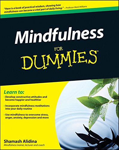 Buy Mindfulness for Dummies — BookShops.in
