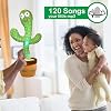 Cactus playtime