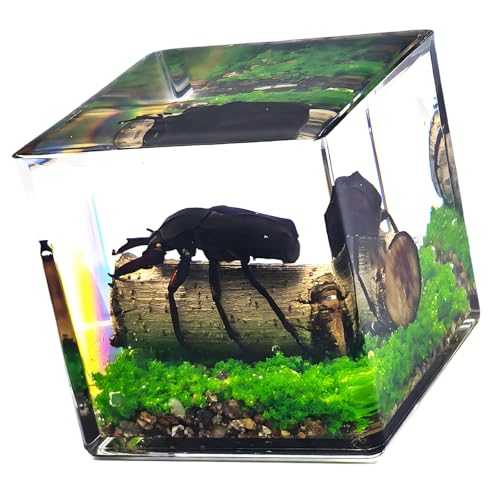 �W�{ MicroLandscape �����A�N�����L���[�u�����w�w�K�t�B�M���A �M�t�g�Ƌ���ړI�f�X�N�g�b�v���i