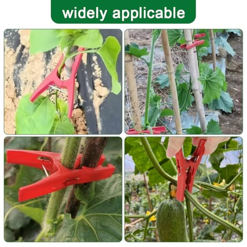 Image of HASTHIP 20Pcs Plant Clips, 3.5 inch Vine Support Clips Reusable Garden Plant Clips for Stems & Climbing Plants, Snap-On Clips for Trellis, Tomato, Orchid, and Vegetable Support