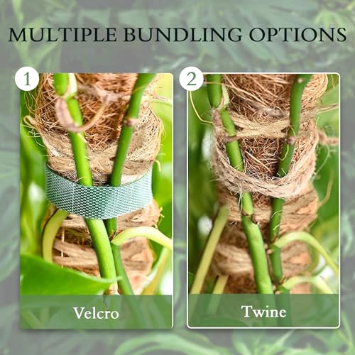 image for YOGINGO 2 Pack 25 Inch Coco Coir Moss Poles for Climbing Indoor Plants