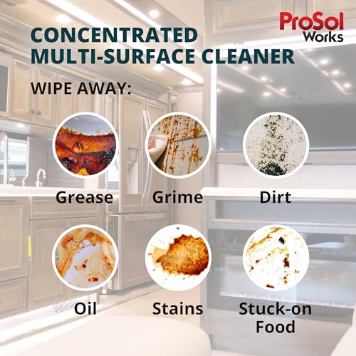 PROSOL WORKS RV Interior Cleaner