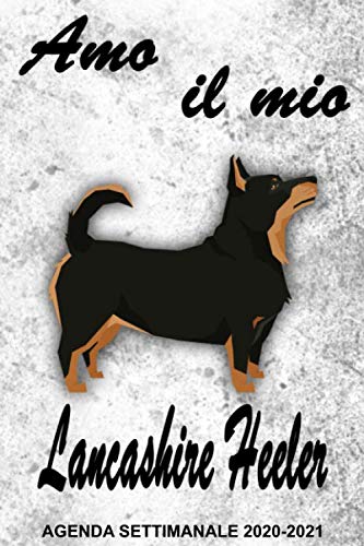 Amo il mio Lancashire Heeler Agenda Settimanale 2020-2021: Pianificatore per 24 mesi, con spazio per To Do e note I Calendario annuale perfetto per gli amanti dei cani
