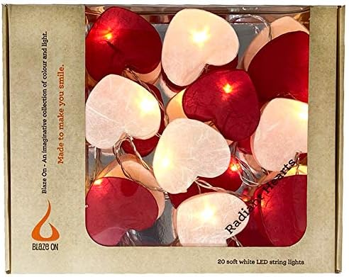 BLAZE ON Radiant Lantern Fairy Lights (Rainbow Colours) - Hand Screened Mulberry Paper - 20 LED Lights - UK Plug - Safe - Indoor - Low Voltage - Decorative Lights - DC 31V