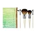 EcoTools 5 Piece Travel Brush Set (Packaging May Vary)