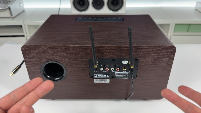 Amazon.com: RHM K222 Karaoke Machine, Connect to TV via Optical
