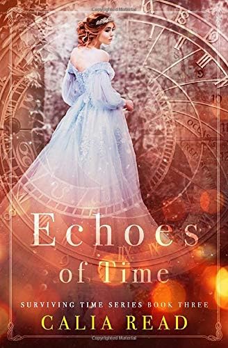 Surviving Time Series # 3: Echoes of Time