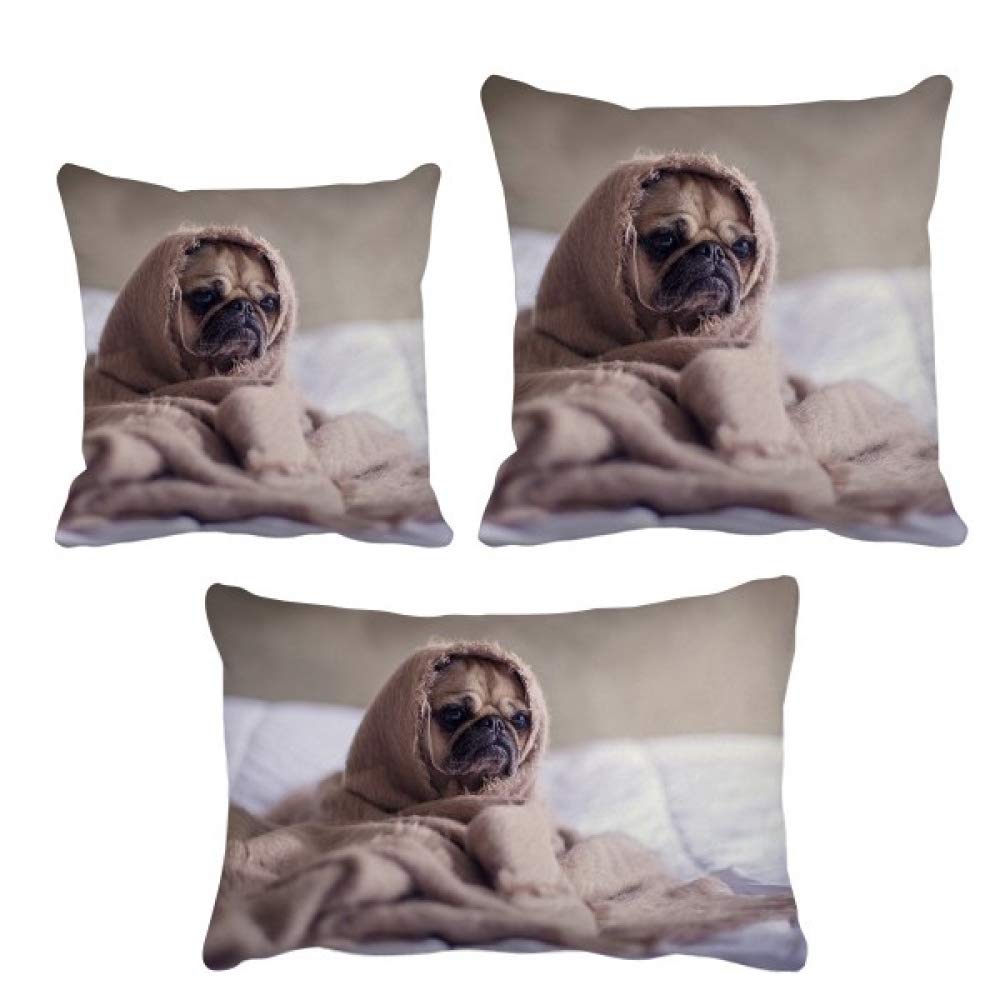 Coussin pour animal domestique bouledogue déhoussable et lavable
