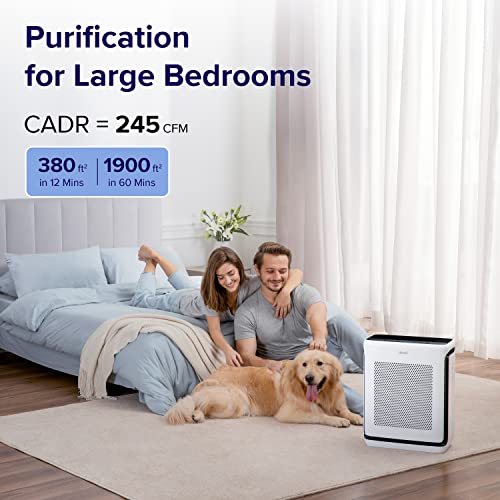 Levoit Air Purifiers For Home Large Room Up To 1900 Ft² In 1 Hr With Washable Filters, Air Quality Monitor, Smart Wifi, Hepa Filter Captures Allergies, Pet Hair, Smoke, Pollen In Bedroom, Vital 200S #TOP2